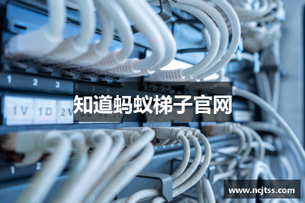 知道蚂蚁梯子官网